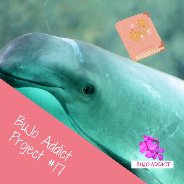 cover art for Prêt·e à créer ton Bullet Journal d’octobre 2024 avec les énergies de la nature ?