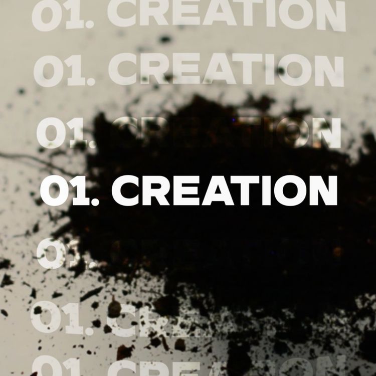 cover art for 01. CREATION (Genesis 1-2v3)
