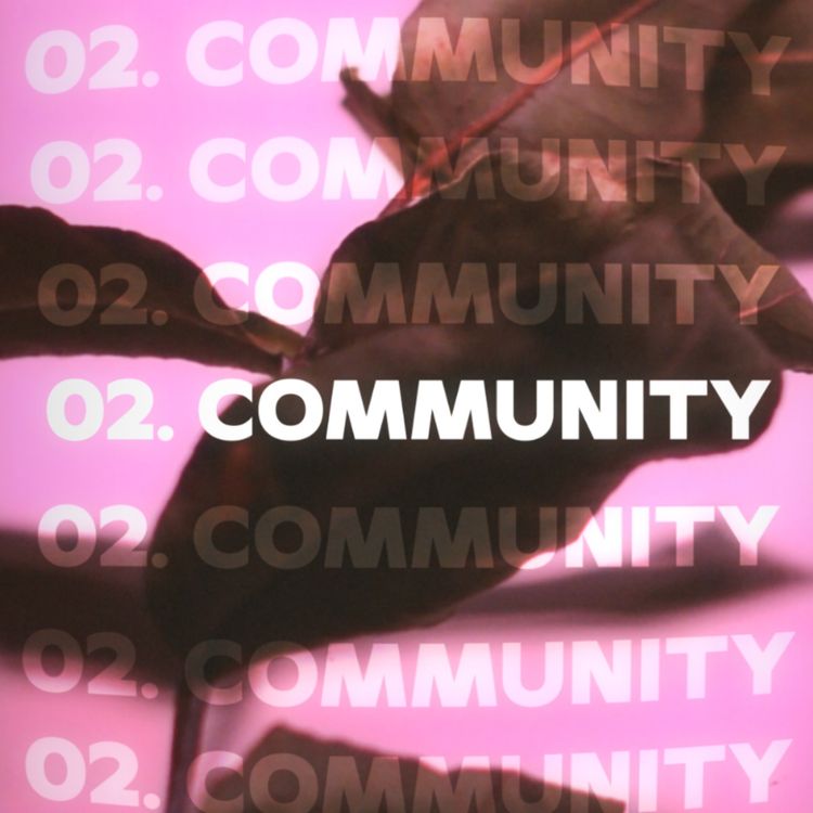 cover art for 02. COMMUNITY (Genesis 2v4-25)