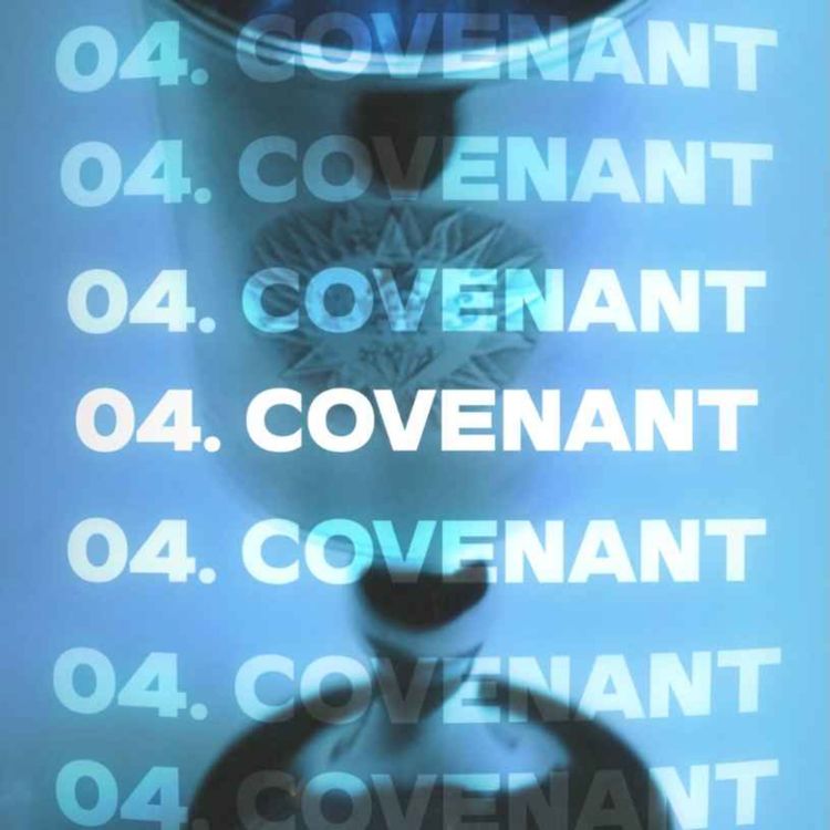 cover art for 04. COVENANT (Genesis 6-9)
