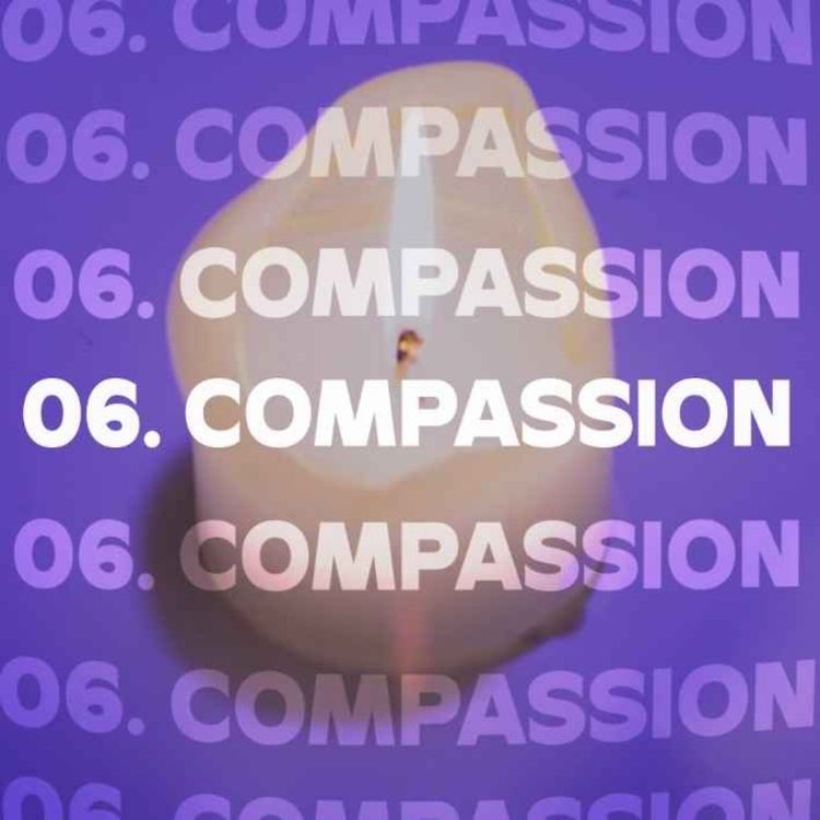cover art for 06. COMPASSION (GENESIS 16)
