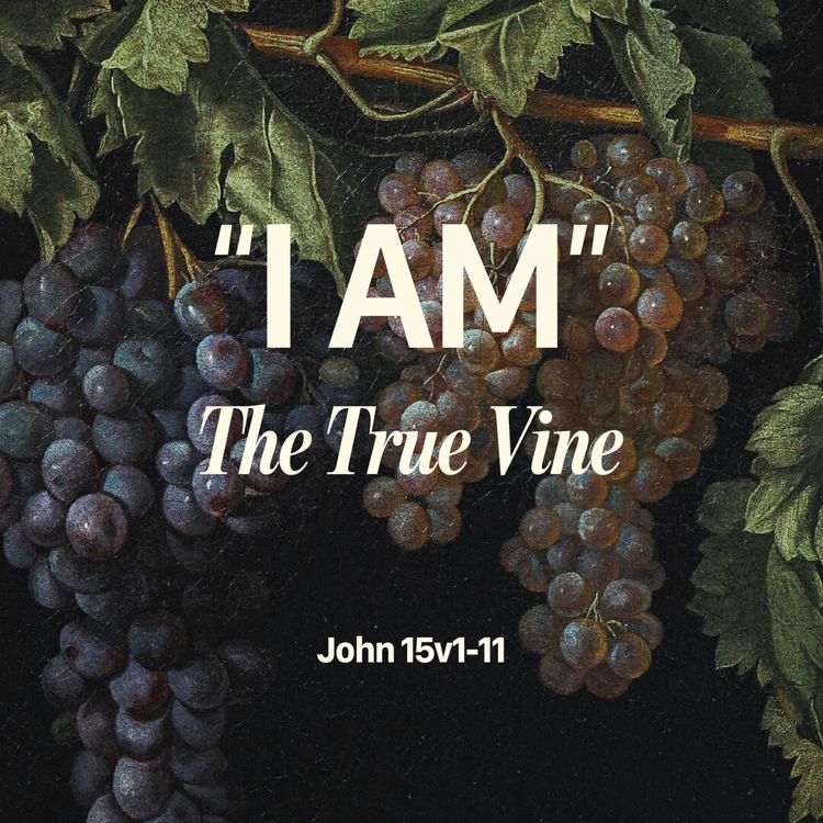 cover art for I Am The Vine (John 15:1-11)