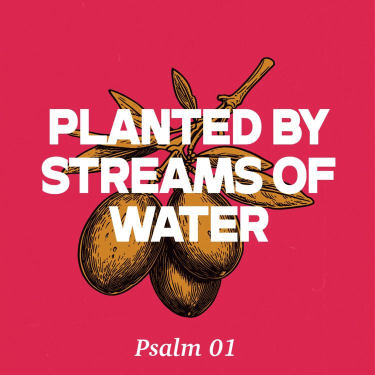 cover art for Planted By Streams Of Water (Psalm 01)
