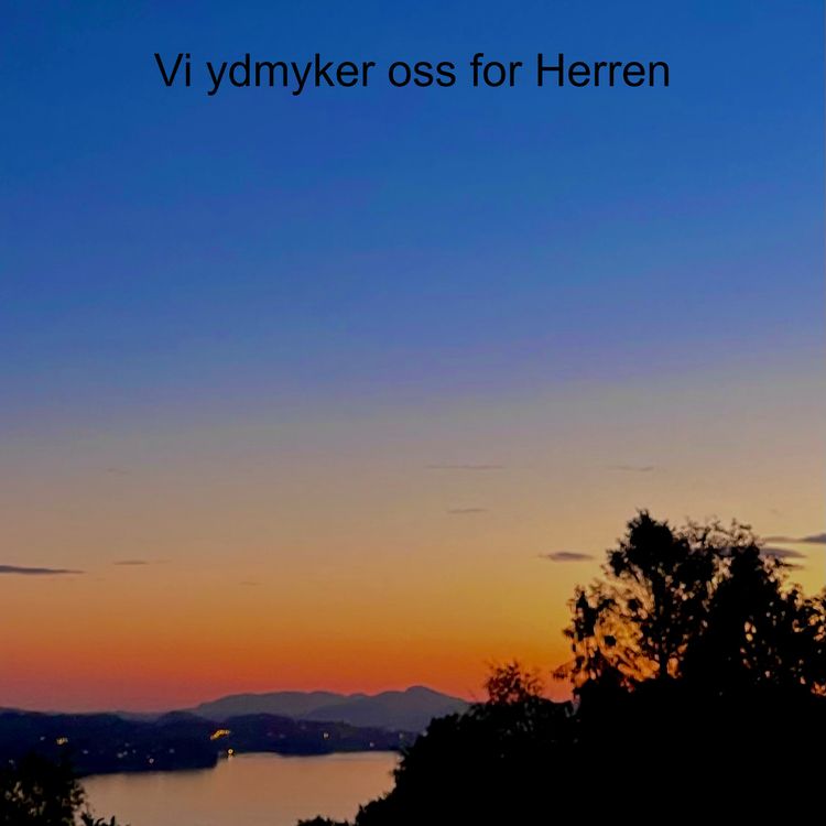 cover art for Vi ydmyker oss for Herren