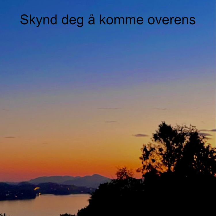 cover art for Skynd deg å komme overens