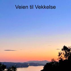 cover art for Veien til Vekkelse