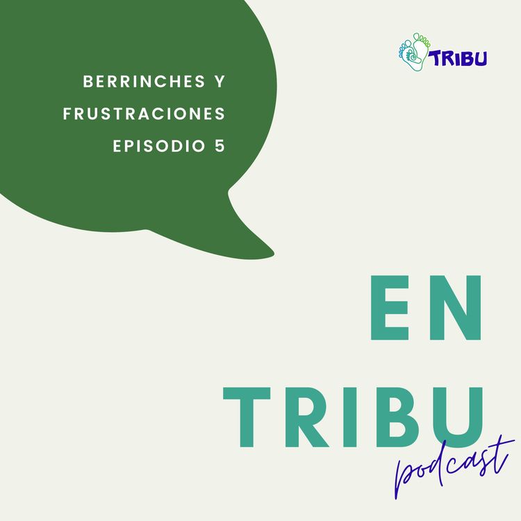 cover art for Berrinches y frustraciones