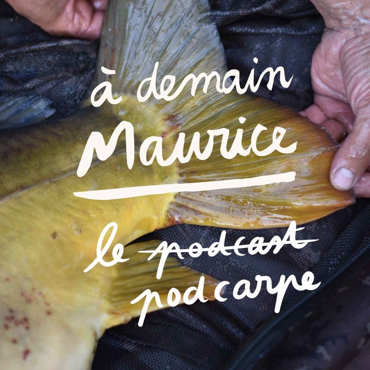 cover art for Au pays des Carpistes