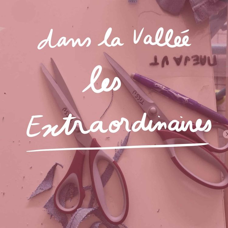 cover art for Dans la Vallée - Les Extraordinaires