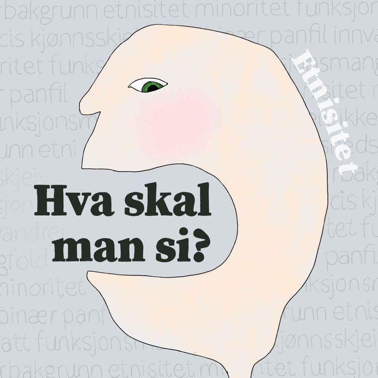 cover art for 2/4: Hva skal man si - om etnisitet?