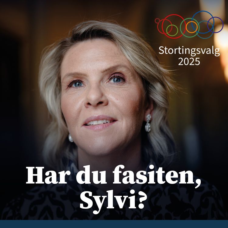 cover art for Har du fasiten, Sylvi?