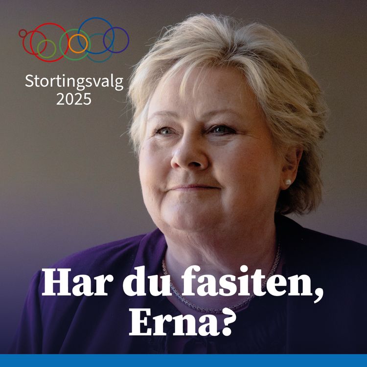 cover art for Har du fasiten, Erna? 