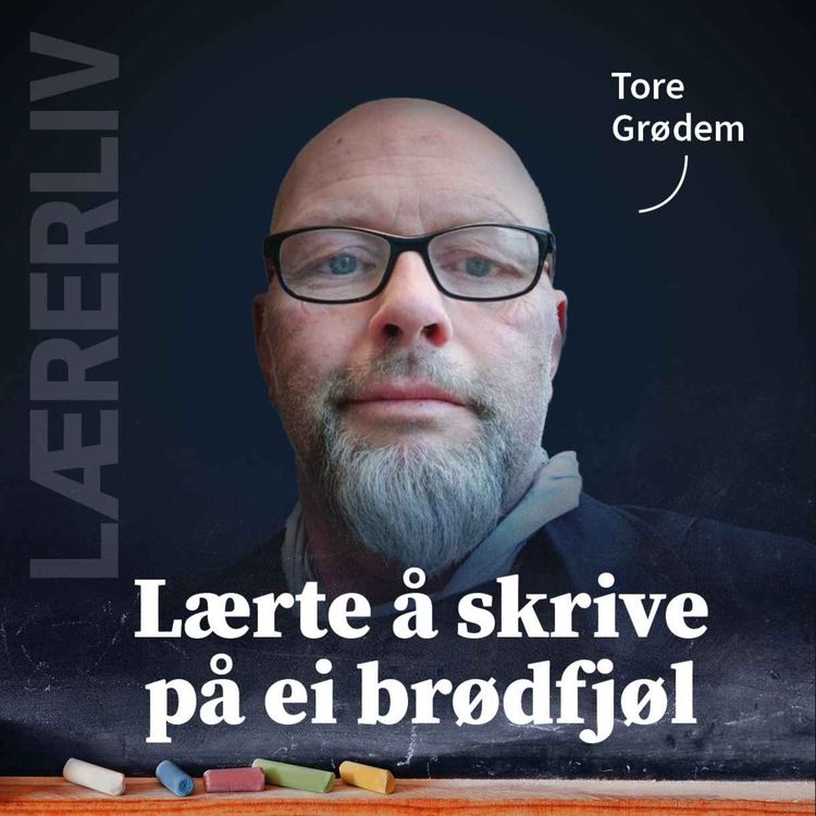 cover art for Lærerliv: Power Ranger