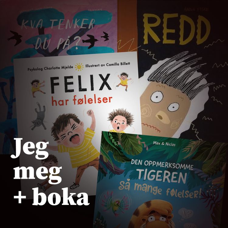 cover art for Tema: Jeg, meg og boka mi