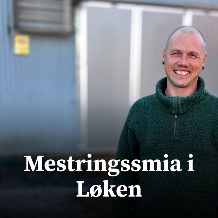 cover art for Mestringssmia i Løken