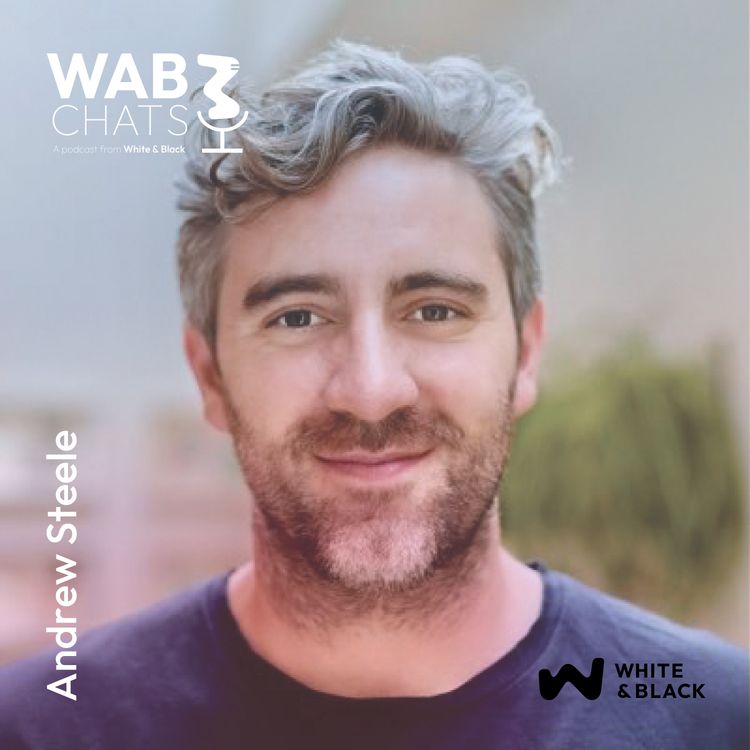 cover art for Andrew Steele - Calculated Risks, Lasting Value