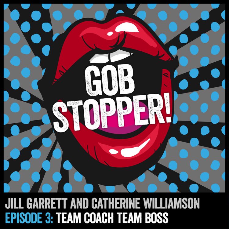 cover art for 3. Team Coach - Team Boss