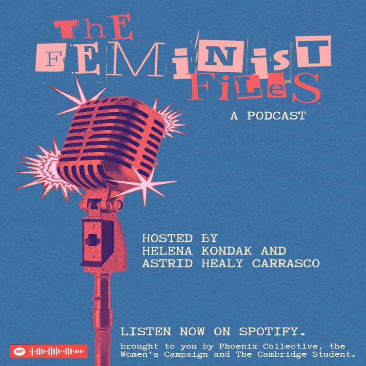 cover art for The Feminist Files - Intersectional Feminisms: Gendered Islamophobia & Black Feminist Praxis