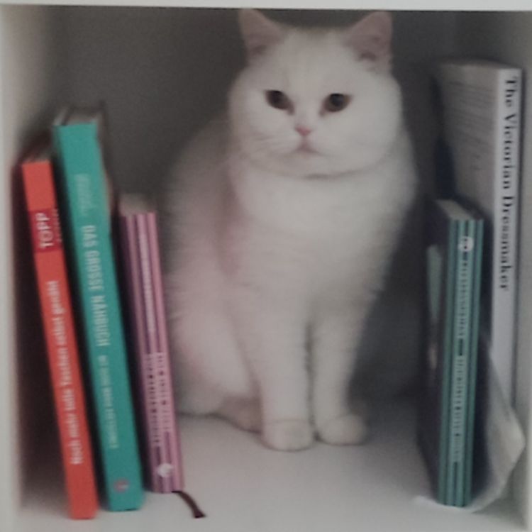 cover art for Public Episode