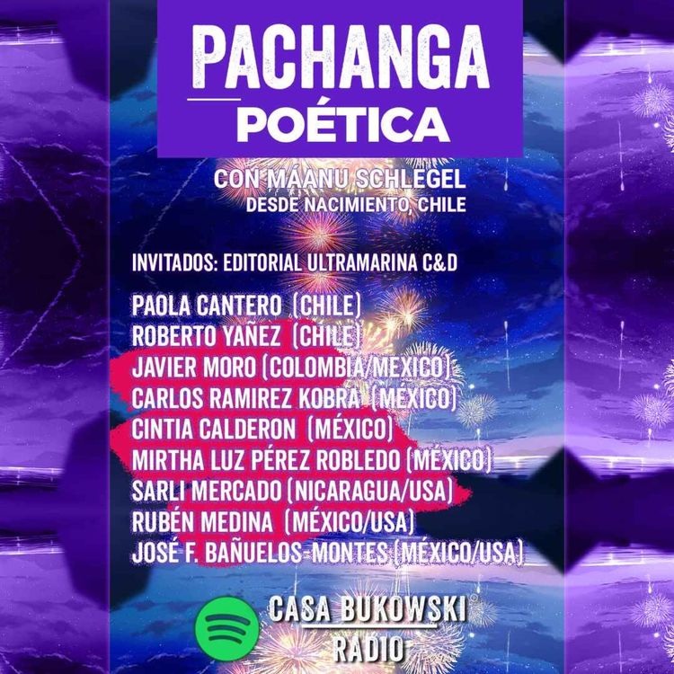 cover art for Episodio 13