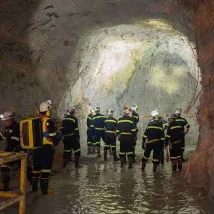 cover art for Fortuna Mining de Canadá desecha mina en Oaxaca, vende proyecto de San José del Progreso y se va en total impunidad