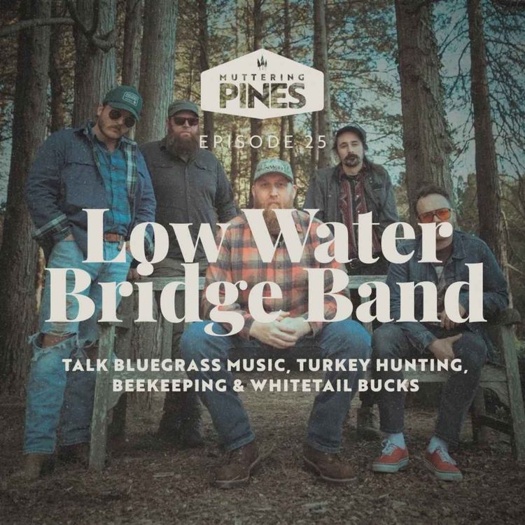 cover art for Low Water Bridge Band
