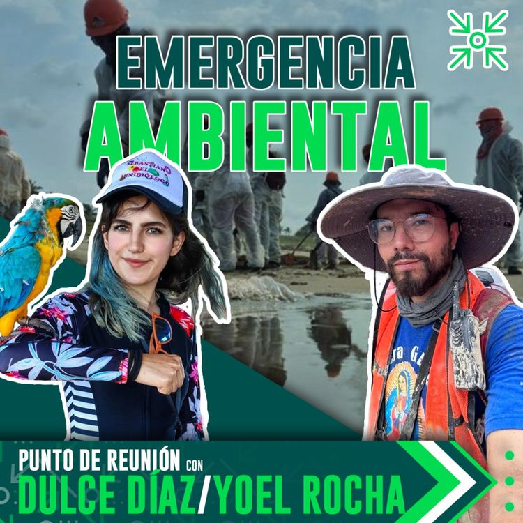 cover art for ¿Qué causó el derrame de petróleo en el Golfo de México? | Dulce Díaz y Yoel Rocha | PDRT5E6