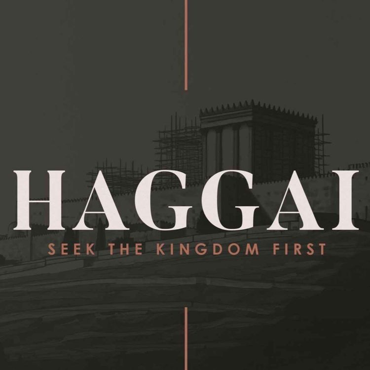 cover art for Promises Promises