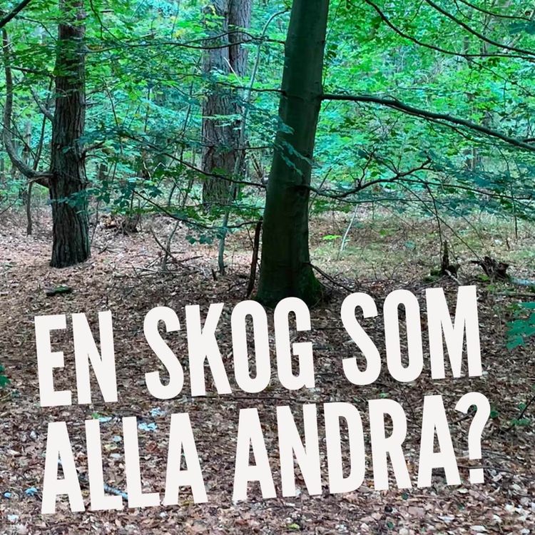 cover art for En skog som alla andra?