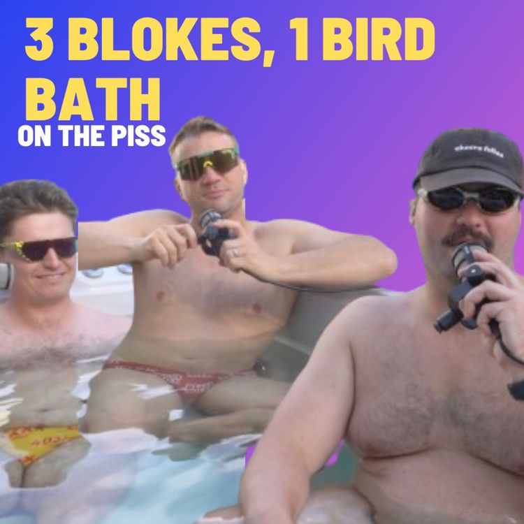 cover art for 3 Blokes, 1 Birdbath - On The Piss