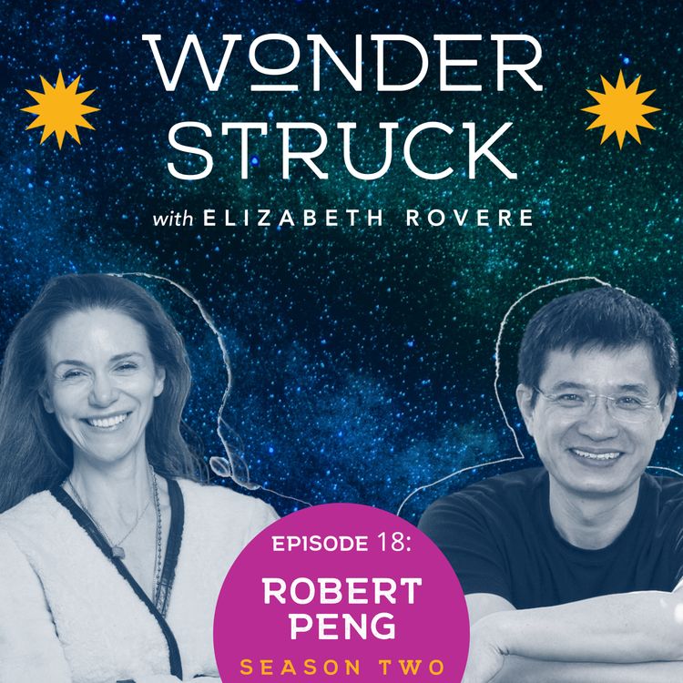 cover art for ROBERT PENG: THE MAKING OF A QIGONG MASTER