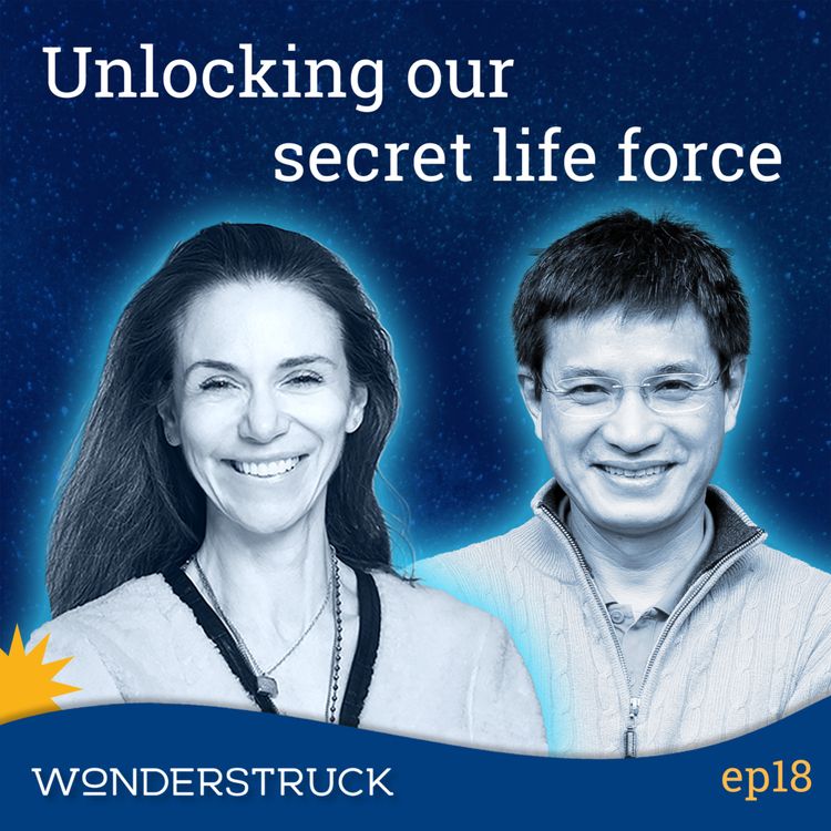 cover art for 18: Robert Peng - The Making Of A Qigong Master