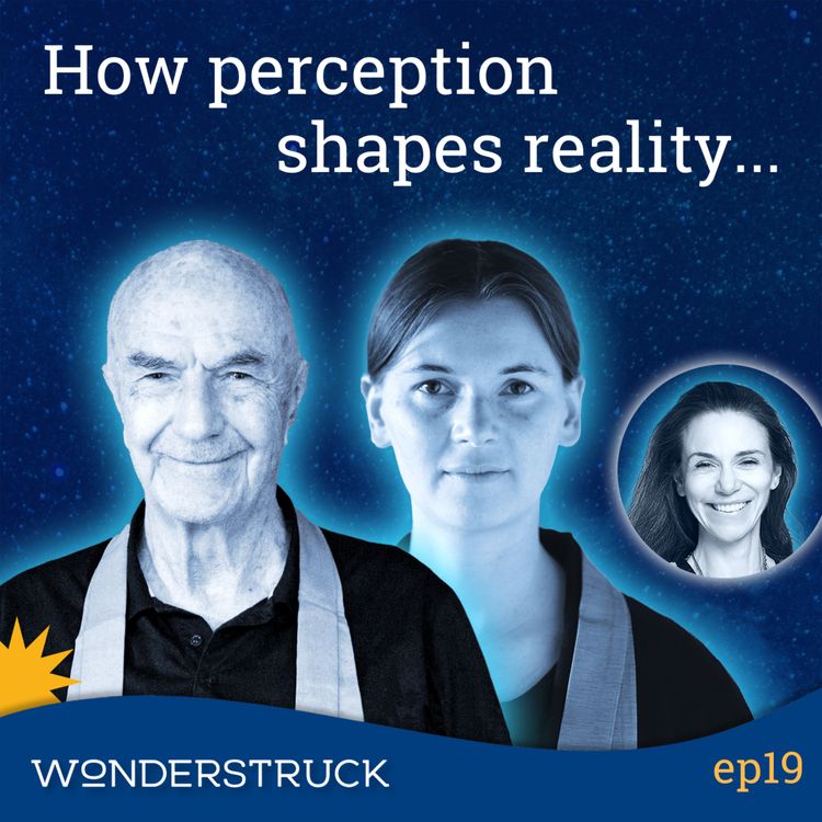 cover art for 19: Zentatsu Richard Baker Roshi And Tatsudo Nicole Baden Roshi - Shifting Perception To Change The World