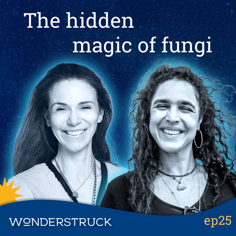 cover art for 25: Mycologist Giuliana Furci - Fungi Will Change How You See the World