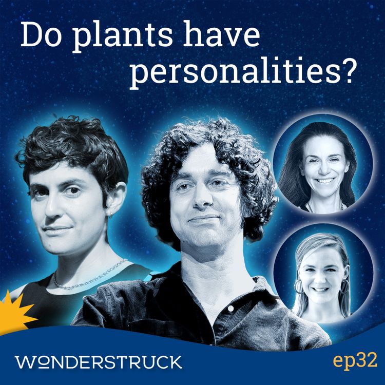 cover art for 32: The Secret Lives of Plants and Fungi with Merlin Sheldrake and Zoë Schlanger