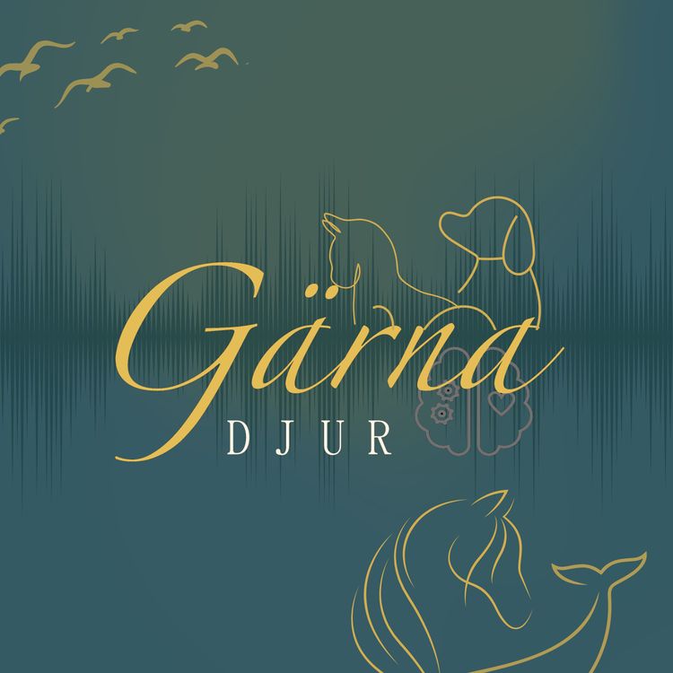 cover art for 39. Frågeavsnitt 2.0