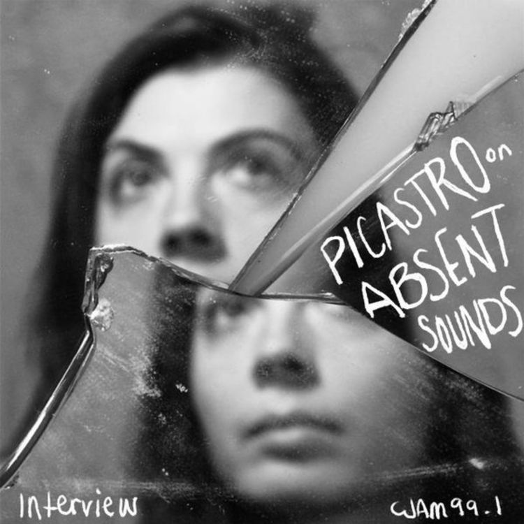 cover art for Picastro Interview
