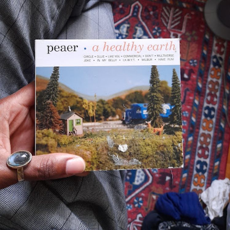 cover art for Peaer and Eric's Trip 