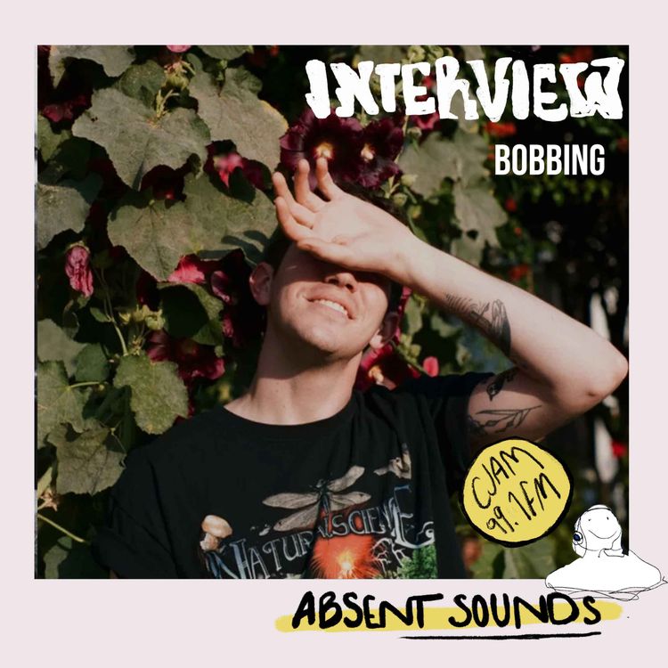 cover art for Bobbing Interview