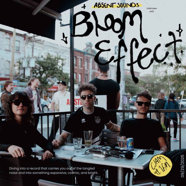 cover art for Bloom Effect Interview