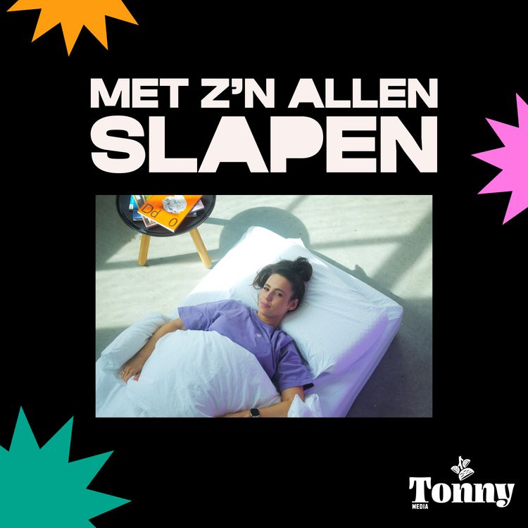 cover art for #METZNALLEN SLAPEN met de BESTE TIPS AND TRICKS, de ROZE OLIFANT en MIJN VLOG 2/4