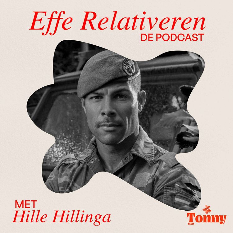 cover art for HILLE HILLINGA over DEFENSIE MINDSET,  UITGEZONDEN WORDEN en PASSIE VOLGEN