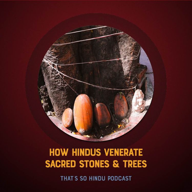 cover art for For Hindus the natural world is more than sacred, its embodied Divinity itself | Prof. David Haberman