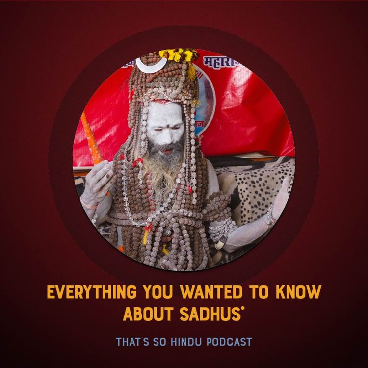 cover art for Everything you wanted to know about sadhus*