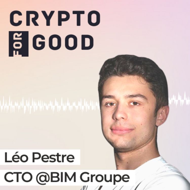 cover art for #08 - Léo Pestre, CTO @BIM Groupe | Soutenir le Made in France en aidant nos PME industrielles à trouver des sources de financement