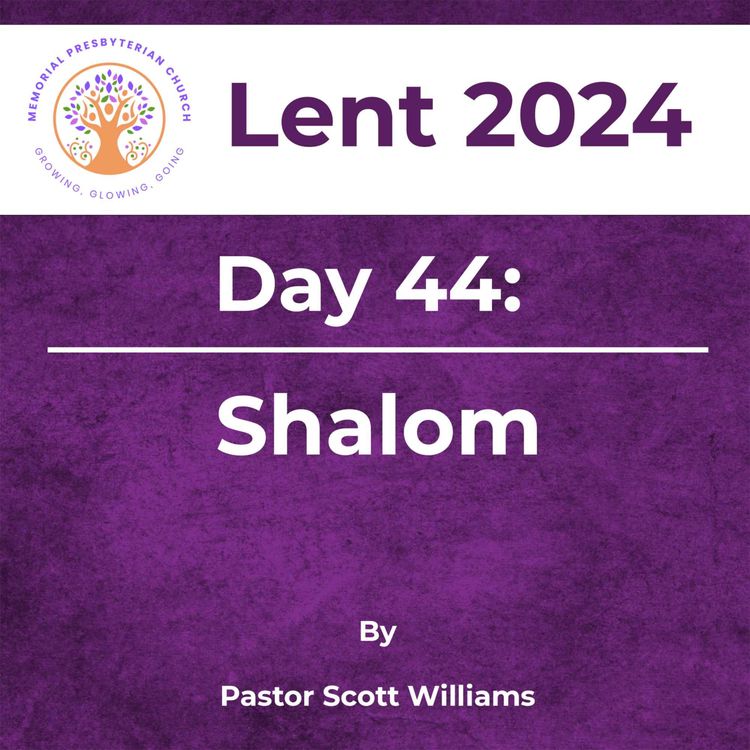 cover art for Lent 2024 Day 44: Shalom