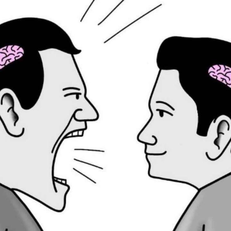 cover art for Cada día MÁS TONTOS y TENEMOS PRUEBAS 🔎🧠 | Minicast