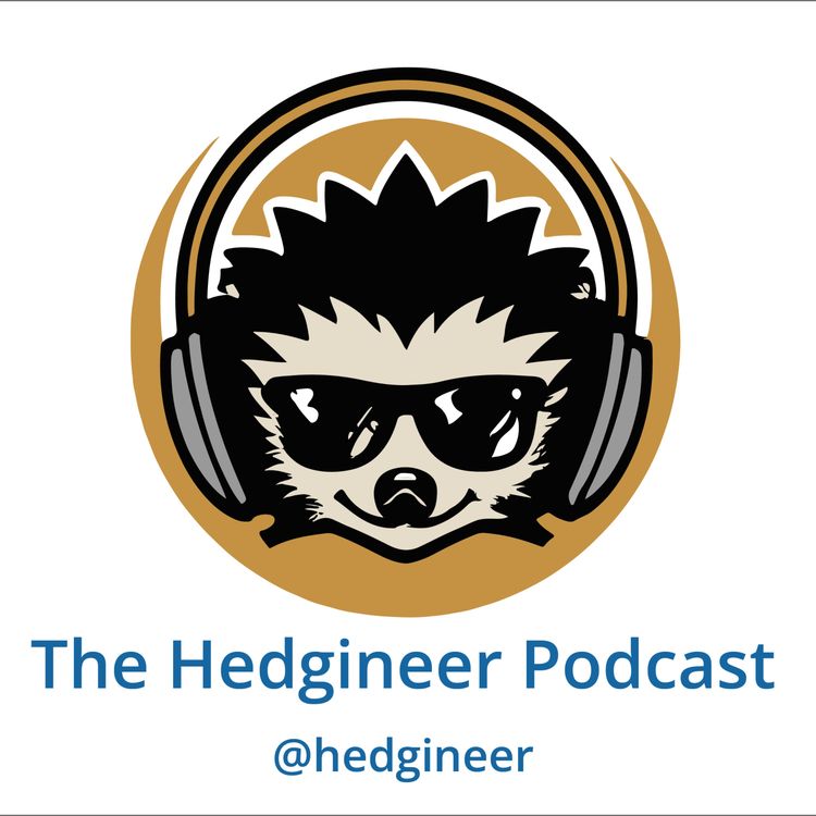 cover art for Ep. 3: Software & AI in Hedge Fund Investing