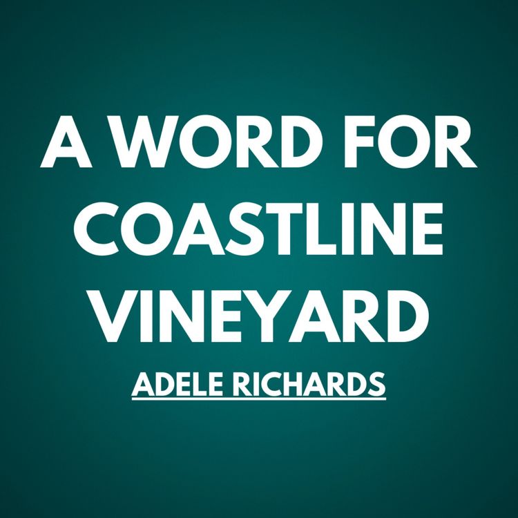 cover art for A word for Coastline Vineyard