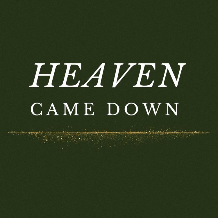 cover art for Heaven Came Down - Hope